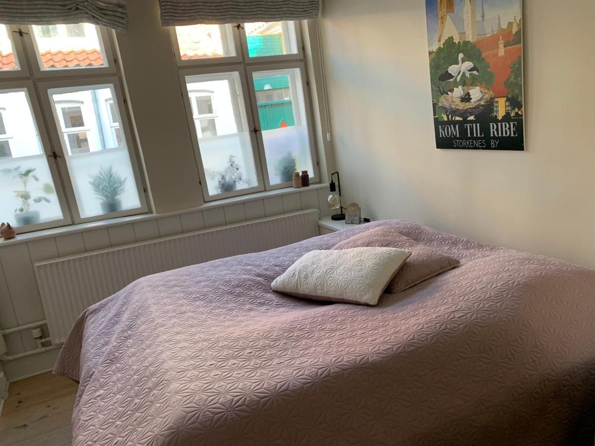 Sonderport Bed & Kitchen Appartement